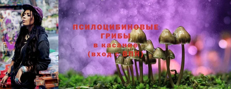 Галлюциногенные грибы MAGIC MUSHROOMS Новоалтайск